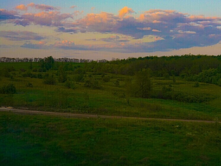 Суд оштрафовал тульского землевладельца за заброшенный участок