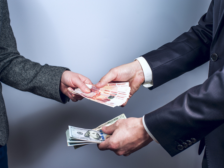 Северодвинку осудили за финансирование нежелательной иностранной организации