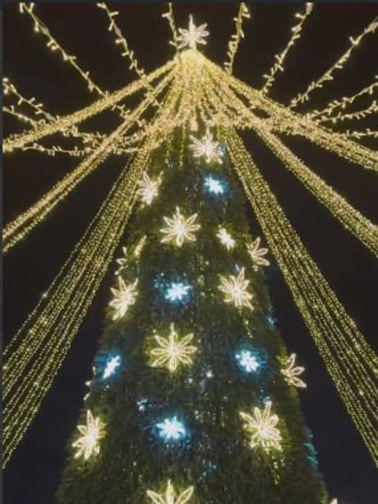 В Элисте установили елку