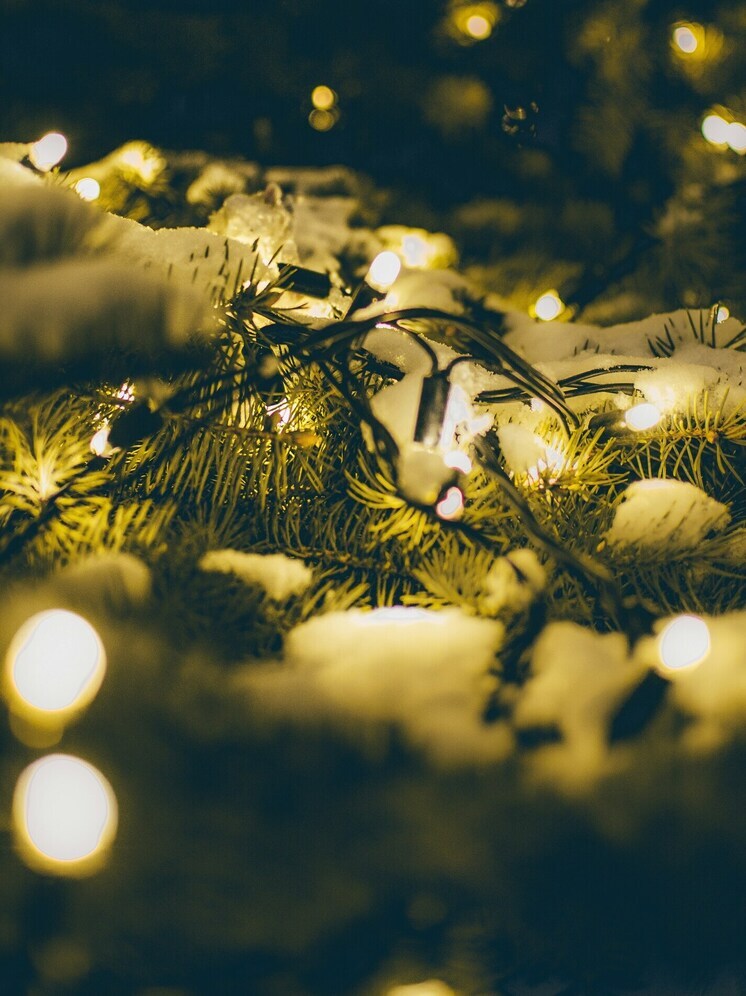 Без электрической гирлянды не обходится ни один новогодний сезон