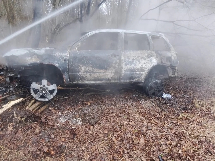В Курской области на трассе А-142 сгорел автомобиль Mitsubishi Outlander