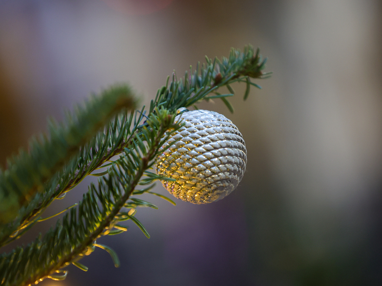 В Магадане из-за гирлянды на елке сгорела квартира многодетной семьи
