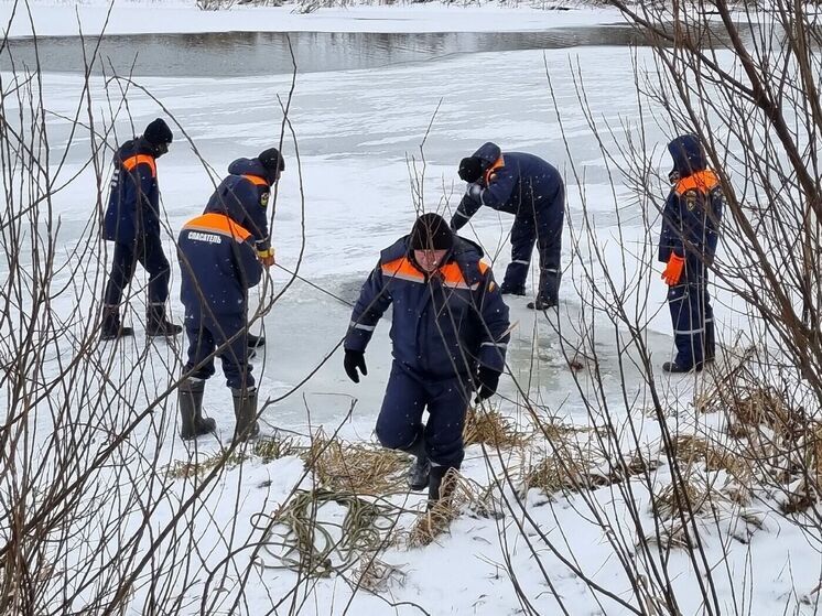 В Рязанской области не могут найти провалившихся под лед мужчину и женщину