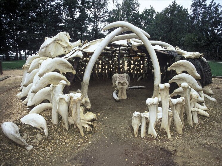 Ученые выяснили, когда кроманьонцы построили в Межириче сооружение из костей 37 мамонтов