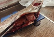 По основным направлениям сельскохозяйственного производства аграрный сезон 2025 года уже завершен