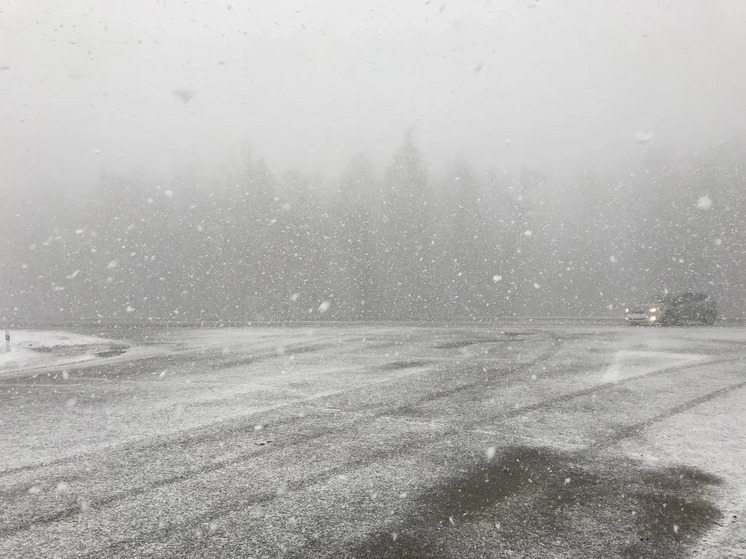 МЧС предупредило рязанцев о снегопаде и метели