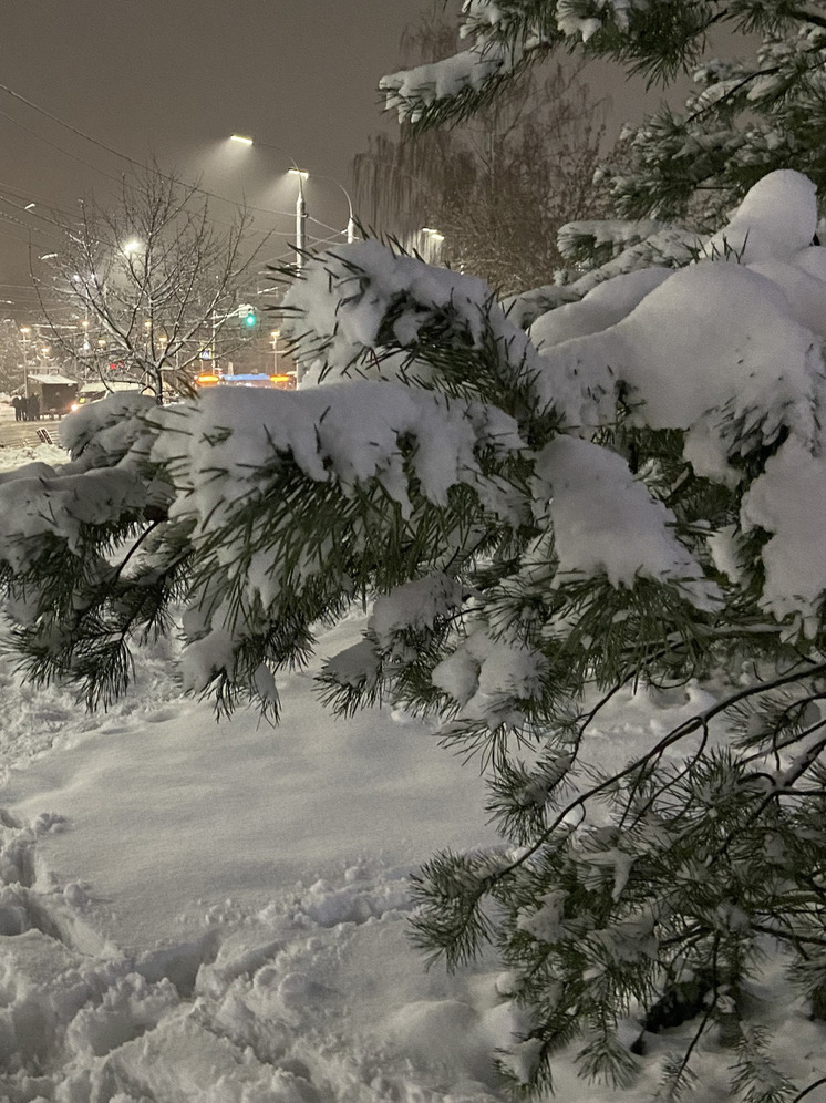 Новогоднее волшебство с «Движением Первых» Запорожья: Бременские музыканты навестили воспитанников реабилитационного центра