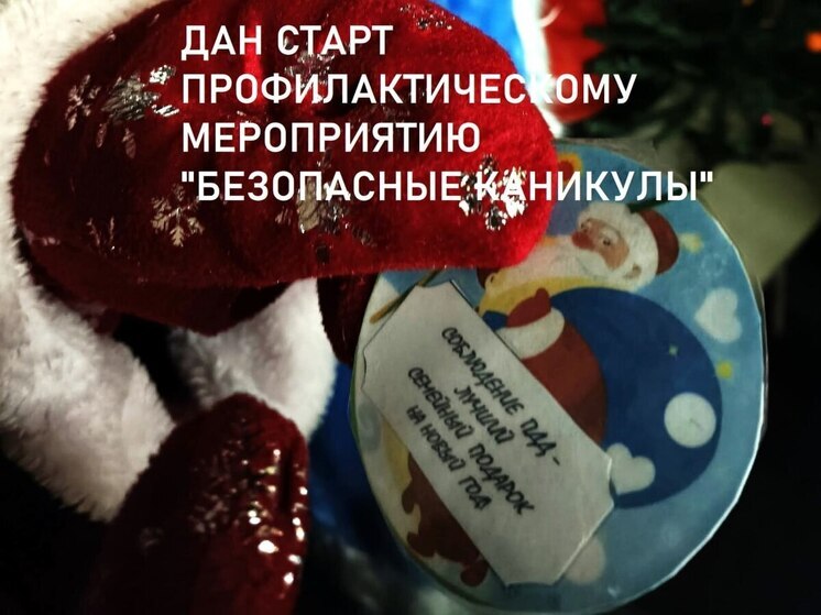 В Псковской области во время Новогодних праздников будут усилены меры безопасности