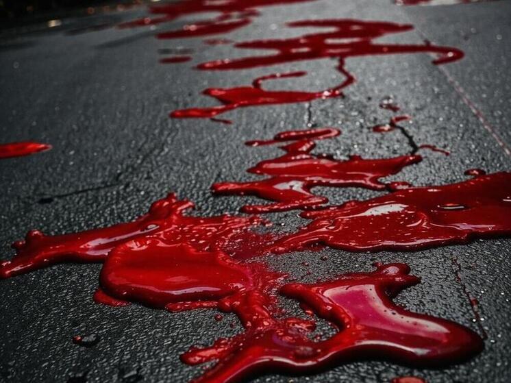 Полиция расследует избиение девушки уроженцем Дагестана - бойцом ММА в Твери