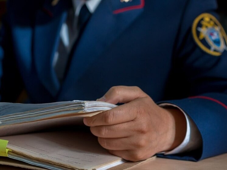 За незаконное хранение оружия и нападение на полицейского осудят ямальца