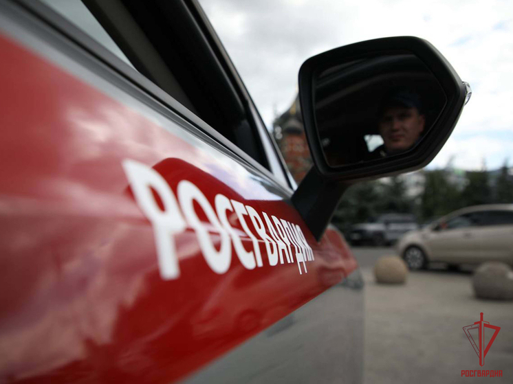 Тульская Росгвардия за неделю совершила почти 220 выездов по тревоге