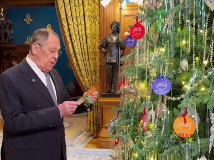 Министр иностранных дел организует девочке из Воронежа встречу с Владимиром Мединским