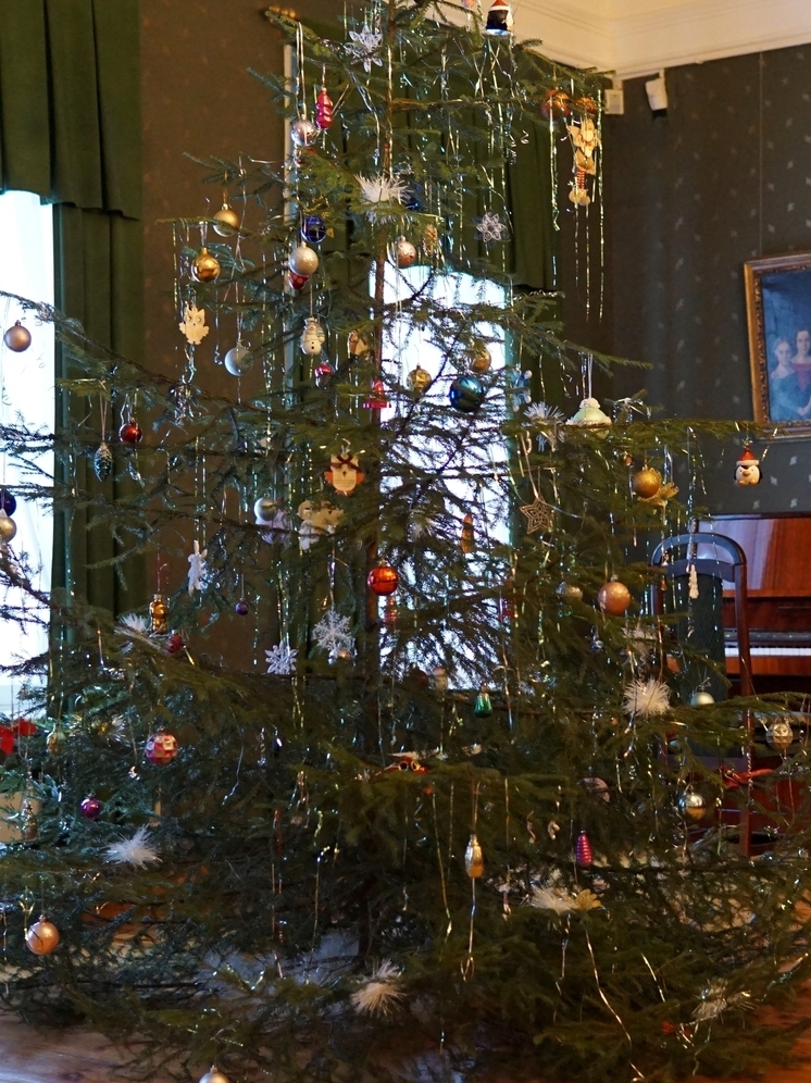 В Пушкинском заповеднике установили новогодние ели к праздникам