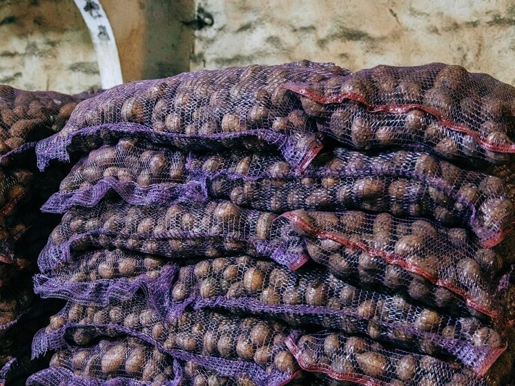 Закрома Чувашии заполнены: урожая хватит до новой весны