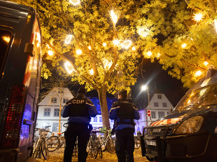 Праздник мира и любви в 2025 году отразил глубокие противоречия современного мира