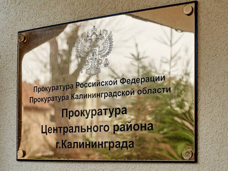 Отца-алиментщика отправили в Калининграде под суд за долг перед тремя детьми