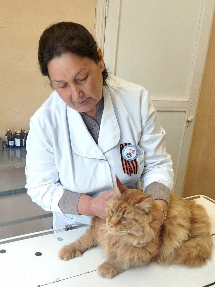 В Чувашии от бешенства привили более 120 тысяч кошек и собак