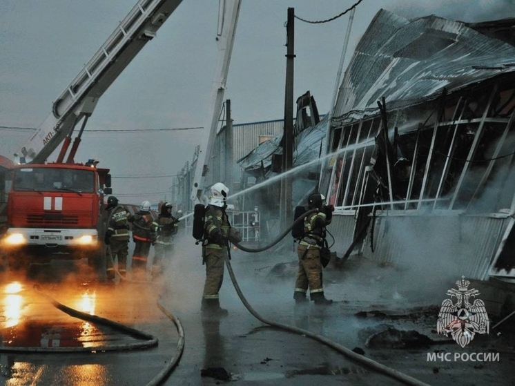 При тушении пожара на промпредприятии в Новошахтинске пострадал один спасатель