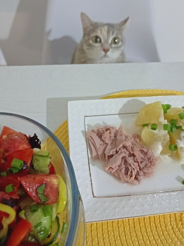 Опасность на тарелке: саратовский медик рассказала, что вреднее курения