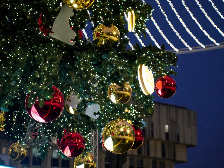 В Тульской области дети бойцов СВО получат новогодние выплаты