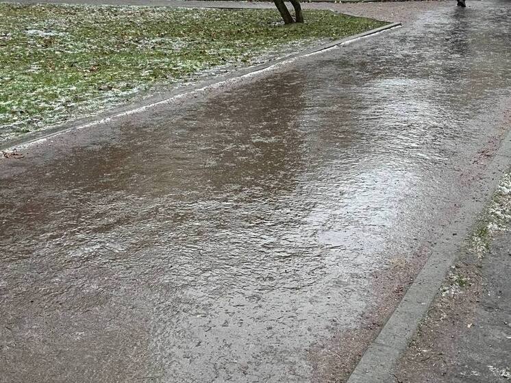 Ленинградцев 26 декабря ожидает мокрый снег, ветер и до +4 градусов