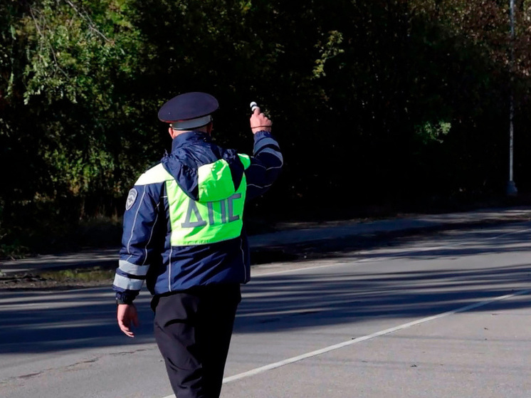 В Липецкой области мужчина попытался подкупить инспекторов ДПС