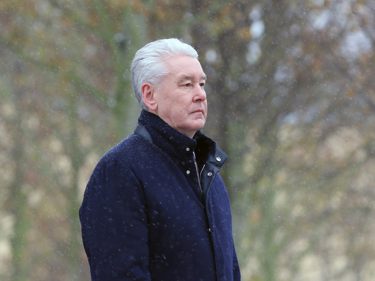 Собянин исполнит мечты троих детей в рамках акции «Елка желаний»