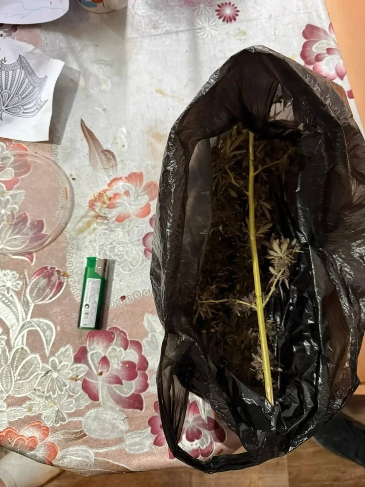 У астраханца изъяли более 20 граммов каннабиса