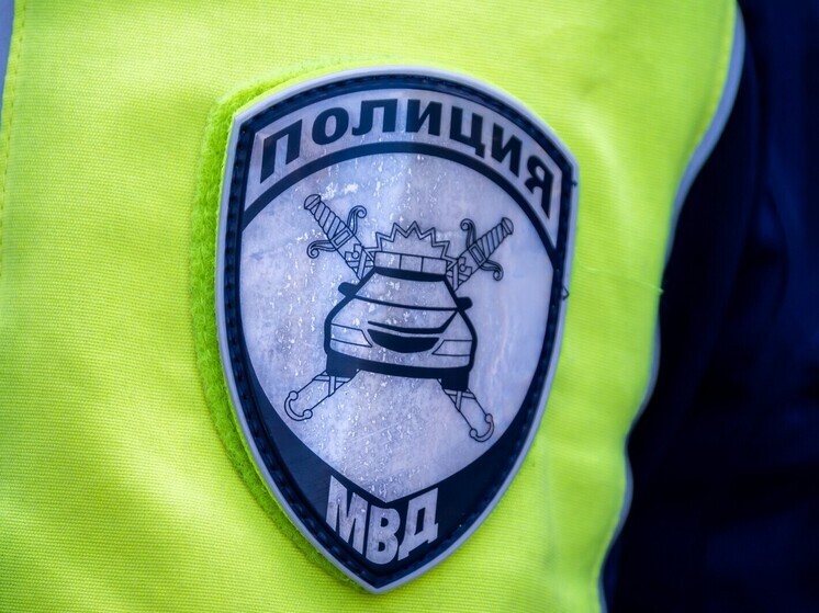 Еткульская полиция меньше чем за полчаса отыскала угонщиков