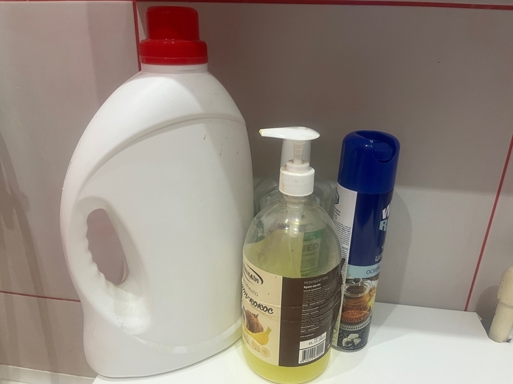 Жителям Орловской области в сезон гриппа и ОРВИ рекомендуют особое внимание уделять уборке в жилых помещениях