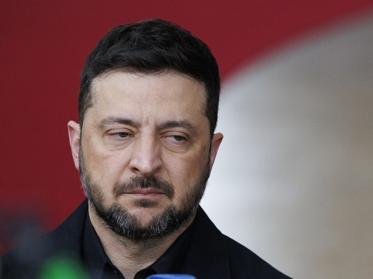 Экс-депутат Рады Томенко: Зеленский не вправе инициировать референдум ни по одному вопросу