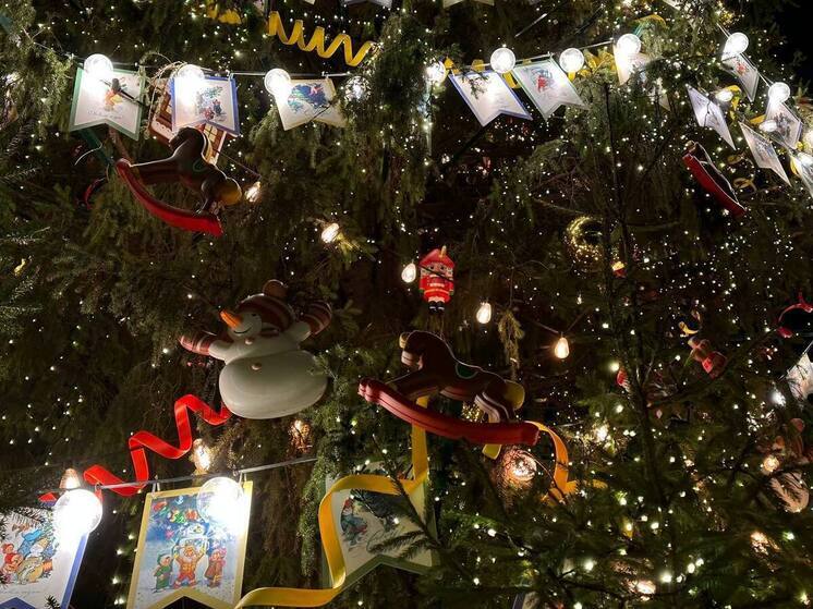 Авито и «Елки 12» запустили проект в поддержку пожилых людей