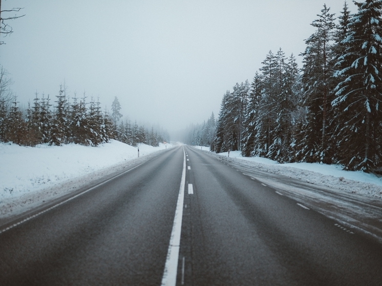 26 декабря в Брянской области синоптики обещают снег