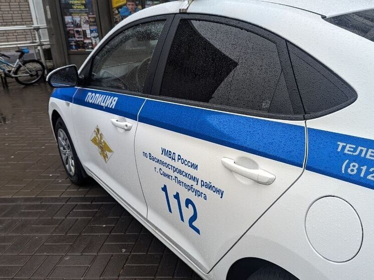 Полиция задержала подозреваемого в поджоге «Mercedes-Benz» на проспекте Медиков