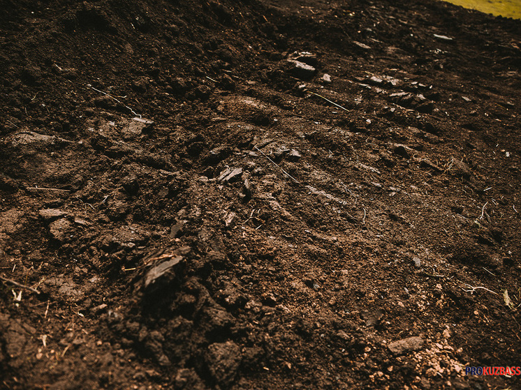 Землепользователь проигнорировал требования по рекультивации почв в Кузбассе