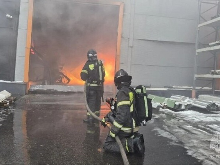 Пожарный поезд отправлен на ликвидации крупного пожара на заводе под Тулой