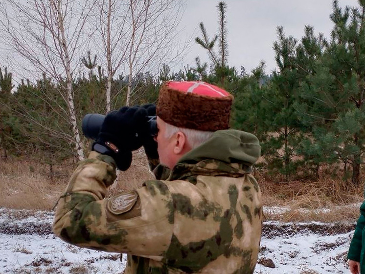 Липецкие казаки стоят на страже хвойных молодняков от браконьеров