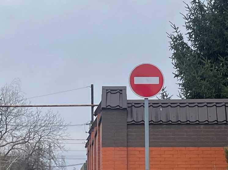 В январе в Ростове ограничат проезд грузовиков по Александровскому мосту