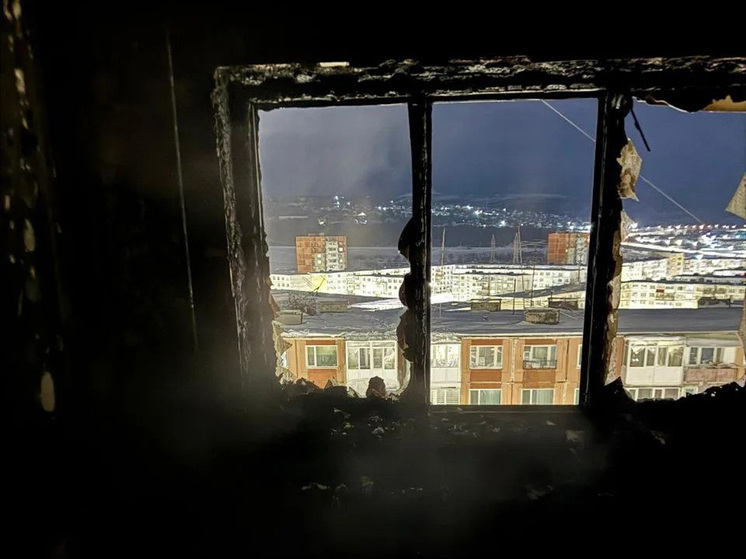 Гибель детей в новогодние праздники увеличивается в 5,5 раз : в МЧС напомнили о причинах пожаров