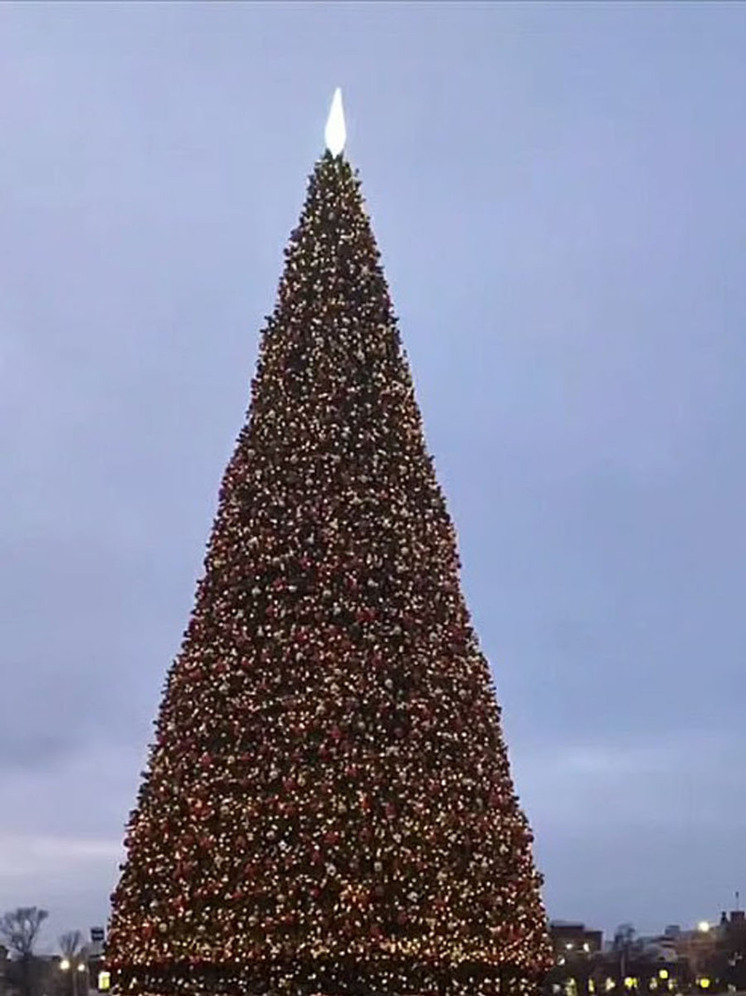 Саратовцы не узнали главную елку города, восстановленную после обрушения