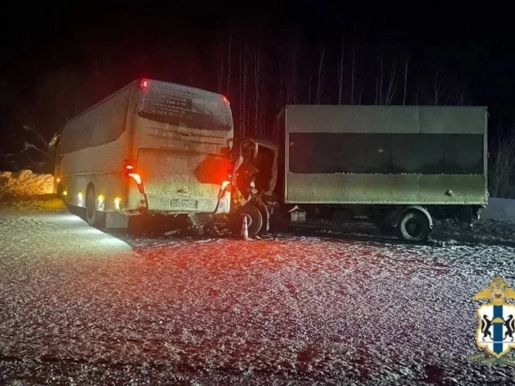 Под Новосибирском пассажирский автобус столкнулся с грузовиком, пострадали четыре человека