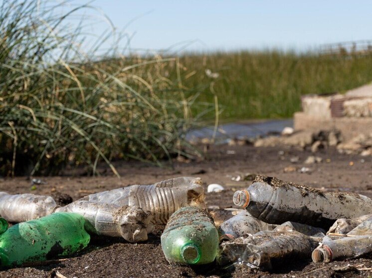 Более 130 свалок убрали в Приамурье с начала года