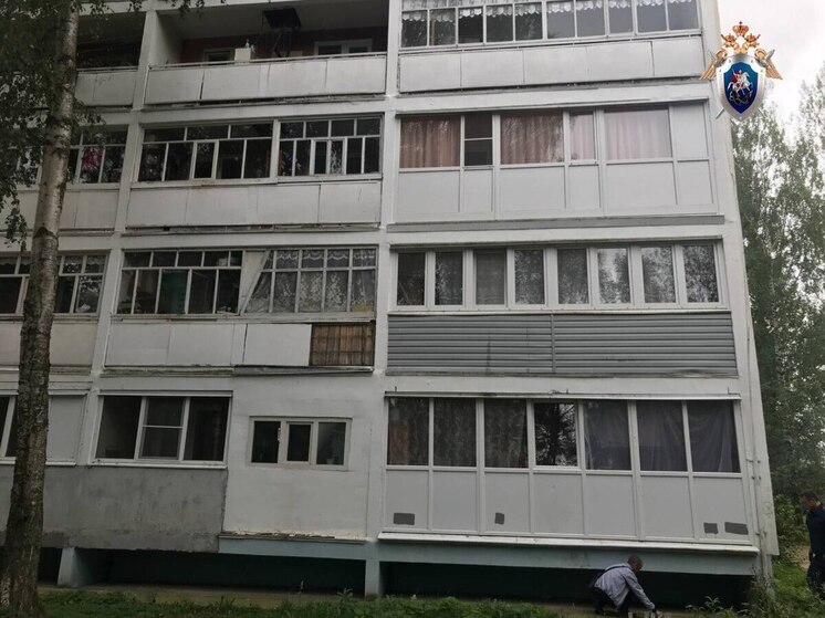 Жительница Тутаева пойдет в колонию за смерть младенца.