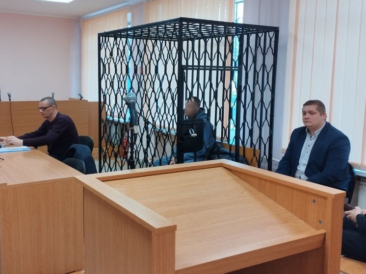 В Багратионовске арестовали мужчину, рассылавшего детскую порнографию