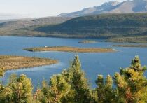 В Москве прошел предновогодний деловой завтрак под смелым лозунгом «Net Zero