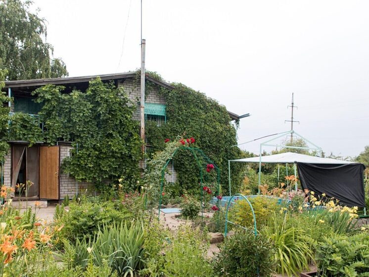 В Волгоградской области 22 га сельхозземель отдали под дачное строительство