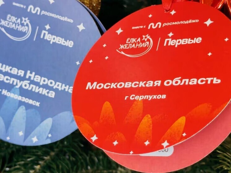 Губернатор Московской области исполнит новогоднюю мечту мальчика из Серпухова