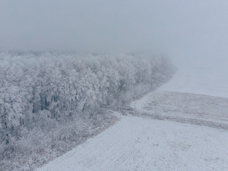26 декабря Липецкую область ждут метели, сильный снег и порывистый ветер