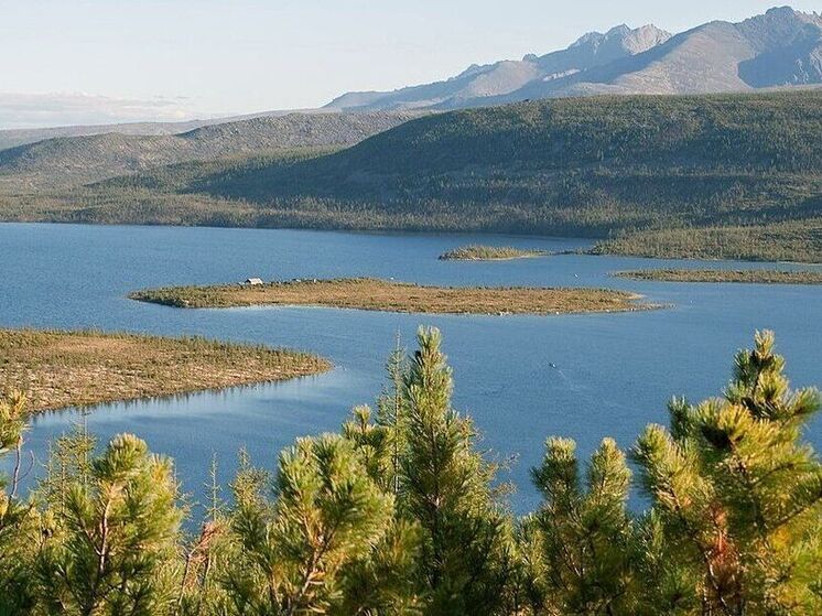 Эксперты проанализировали ключевые изменения в климатической повестке крупнейших компаний после COP30 и в условиях санкционного давления