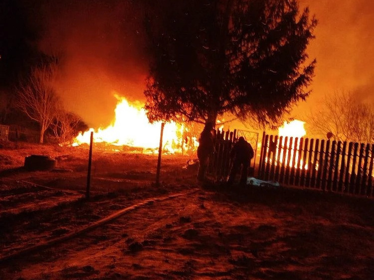 Под Износками спасатели боролись с мощным пожаром